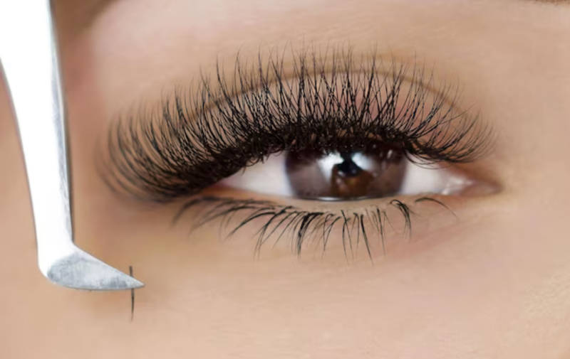 highest quality lashes business